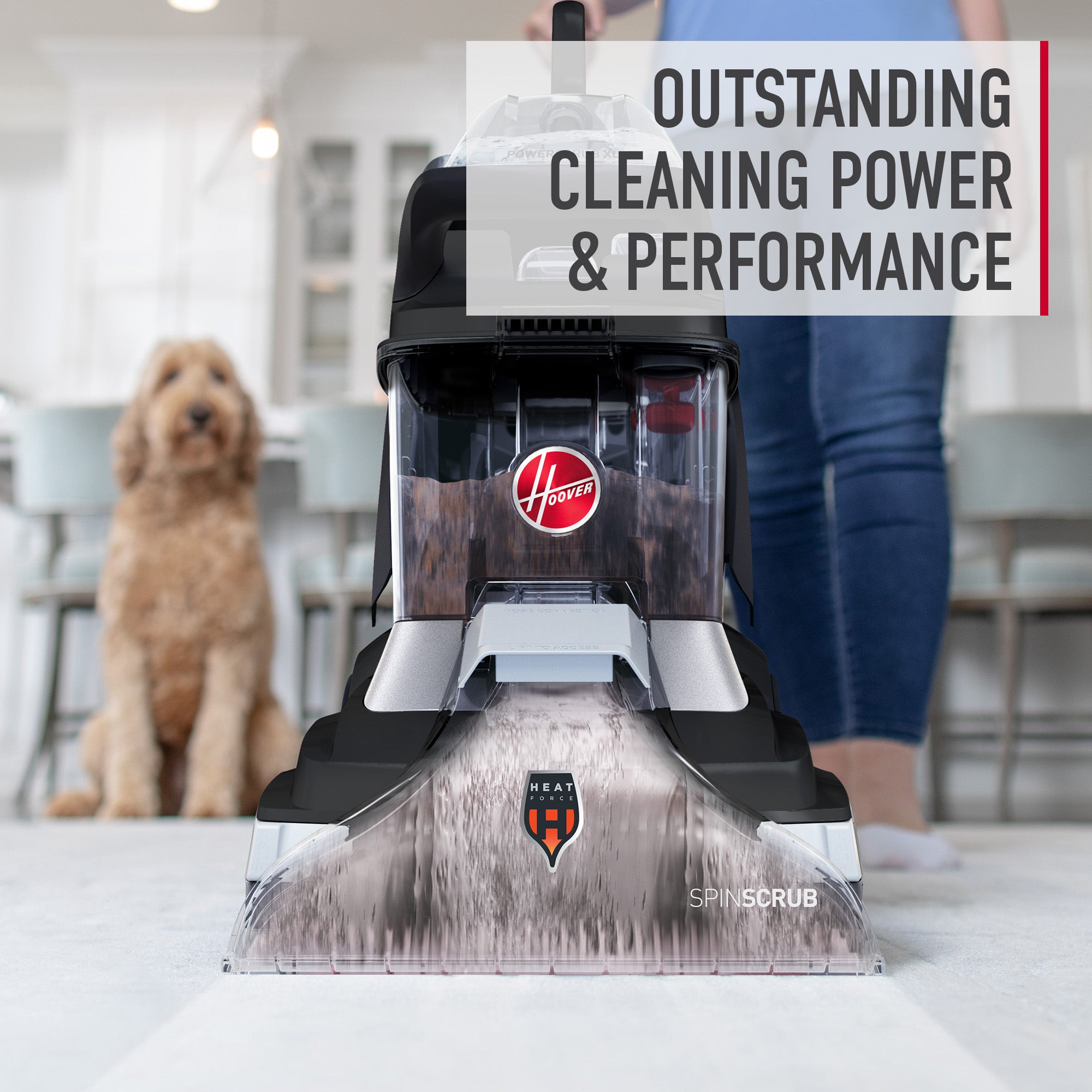 Paws & Claws Carpet Cleaning Solution 128 oz. - Image 5